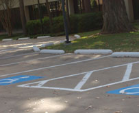 Painted Handicap Parking